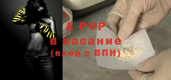 стафф Вязьма