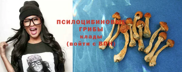 соль курить ск Вяземский