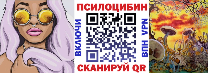 Псилоцибиновые грибы прущие грибы  Городец 